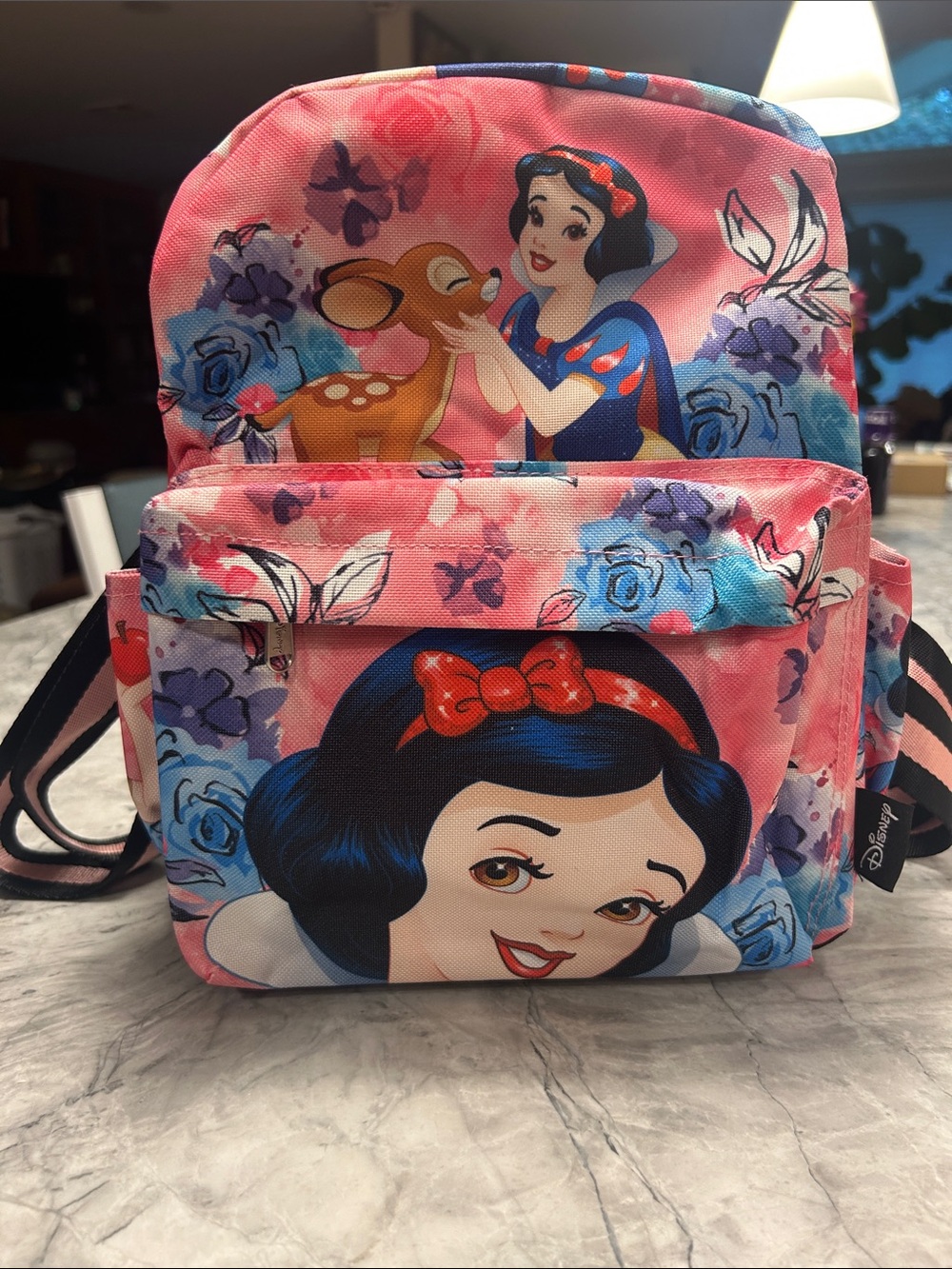 Disney Snow White pink/blue Mini canvas backpack with wide adjustable straps.